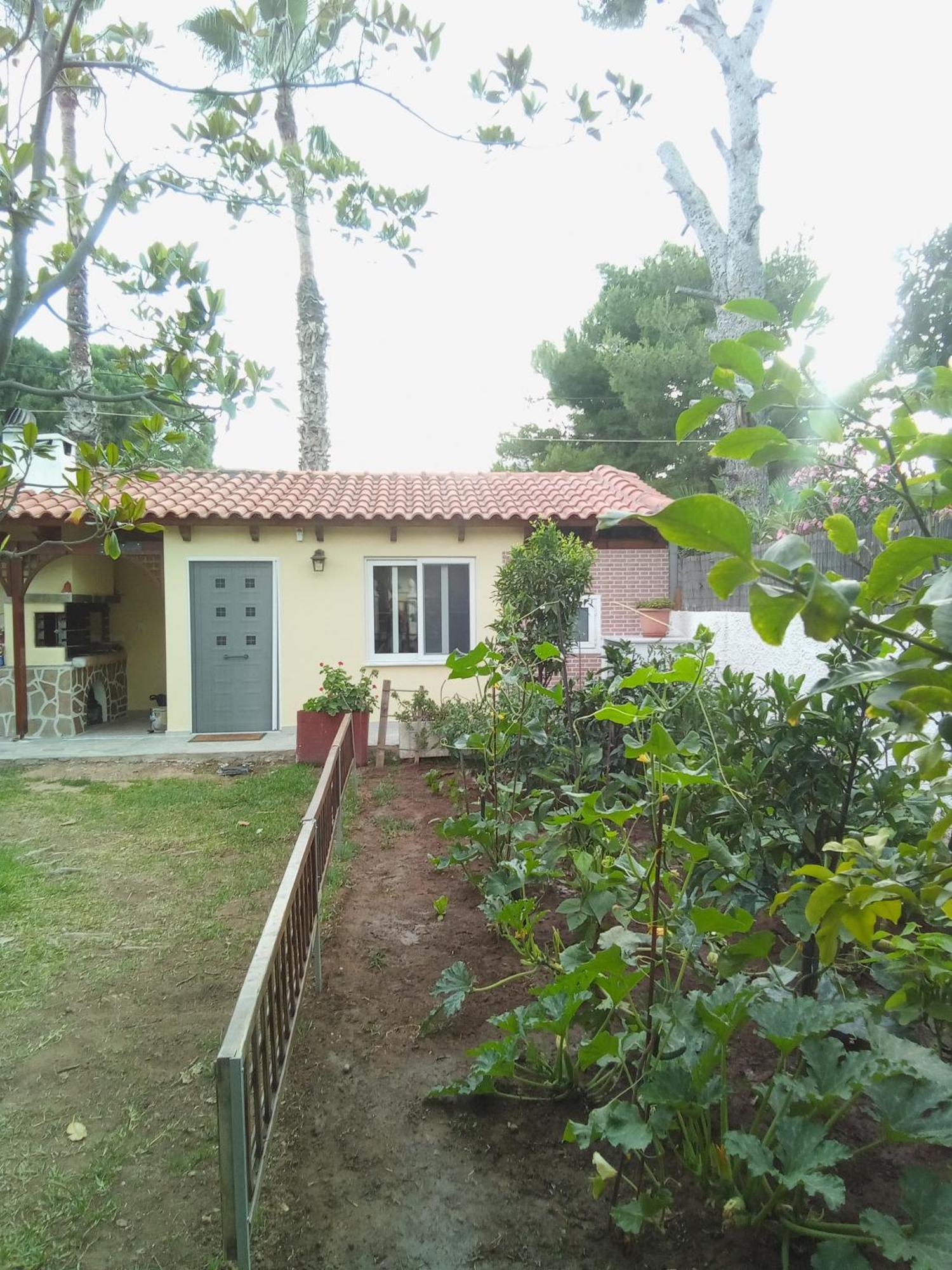 Anna'S Apartment And Studio Artemida  Exterior photo